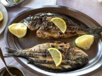 greek-seafood-3-720x540.jpeg