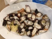 greek-octopus-720x540.jpg