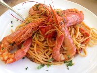 shrimp.jpg