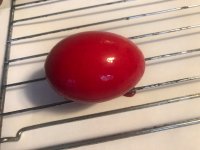 IMG_3474.jpeg