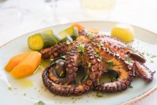 grilled-octopus-720x480.jpeg grilled-octopus-720x480.jpeg