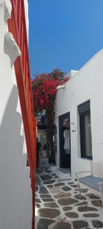 20220801_151036.jpg