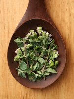 fresh-oregano.jpg