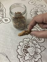 granola.jpg